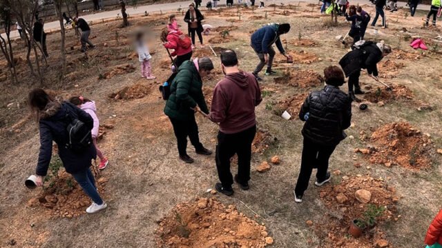 δενδροφύτευση στα Βριλήσσια