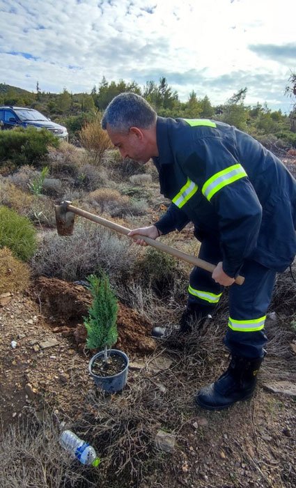 δενδροφυτευση στην Πεντέλη