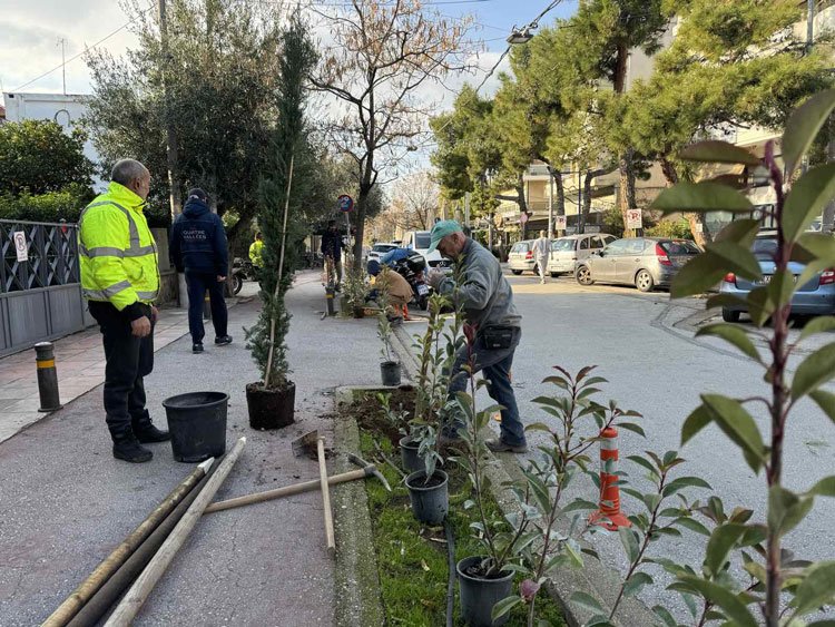 δενδοφύτευση βριλησσια 