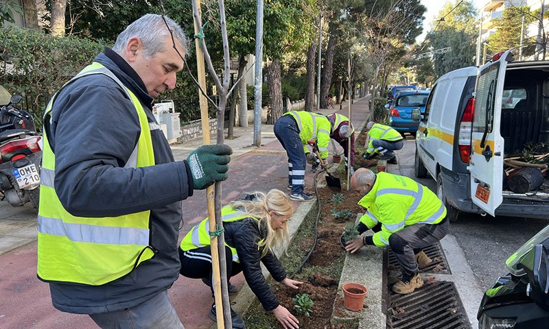 δενδροφυτευση στα βριλησσια