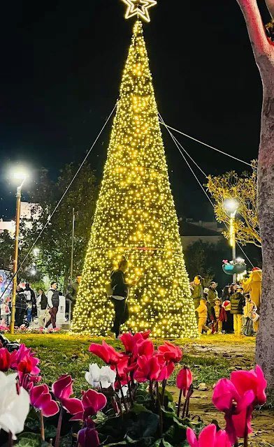 φωταγώγηση χριστουγεννιάτικου δέντρου στα Βριλήσσια 2024-2025