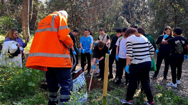 δενδροφύτευση ρεματιά χαλανδρίου