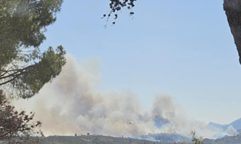 φωτιά δροσοπηγή